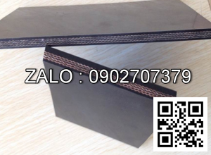 Băng tải bo lon MDL pet3-5,850x0.8x1664