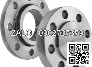 Mặt bích DIN DN12