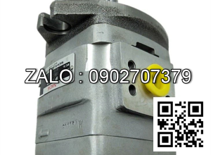 Bơm thủy lực IPH-3A-10-20