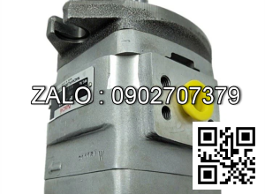 Bơm thủy lực IPH-56B-50-100-LT-11