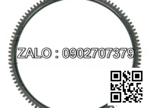 Flywheel with Gear Ring 2409000510033Z