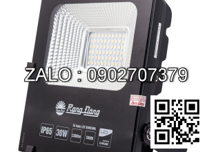 Đèn chiếu pha Rạng Đông D CP05L/30W (SS)