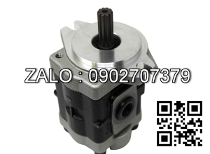 Bơm thủy lực G5-30-1E13F