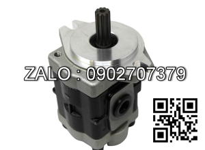 Bơm thủy lực G5 -30-1E13F20L