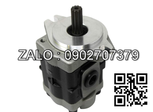 Bơm thủy lực G5-30-1E13S-R