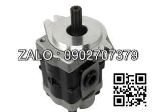 Bơm thủy lực G5-30-1FE13F-20L