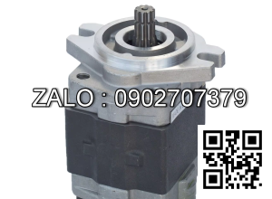 Bơm thủy lực G5-5-1FE13F-20L