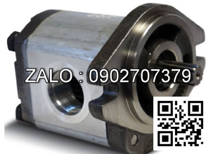 Bơm thủy lực ACNAL06AAA0030000000000A