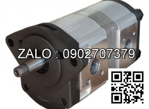 Bơm thủy lực T6EDC-066-045-017-1R00