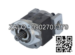 Bơm thủy lực DP13-30-L