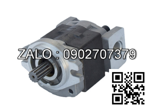 Bơm thủy lực DVSF-1V-20-L