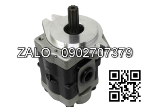 Bơm thủy lực 53 VSD12N00-S2365