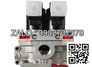 Van điện từ Toyooki AD-SL231D-304D AC220