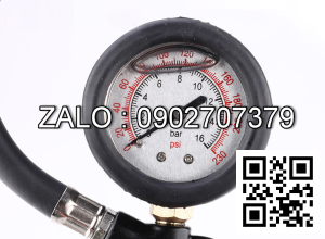 Đồng hồ bơm lốp ngâm dầu chịu áp cao Shandong Tuosen