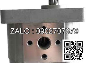 Bơm thủy lực CBW-F310