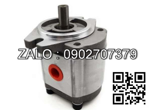 Bơm thủy lực HPP-VD2V-F31A5-EE-A