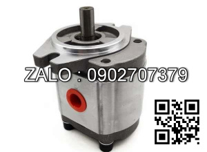 Bơm thủy lực HPP-VD2V -L31