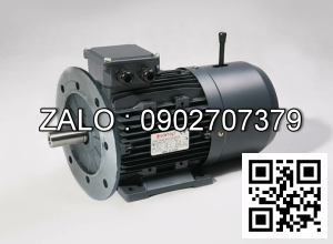Motor giảm tốc WANSHSIN mặt bích 3 HP 2200W đầu cốt lòi 50mm , tỉ số truyền 70-200