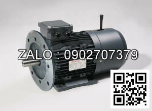 Motor giảm tốc WANSHSIN mặt bích 5 HP 3700W đầu cốt lòi 40mm , tỉ số truyền 30