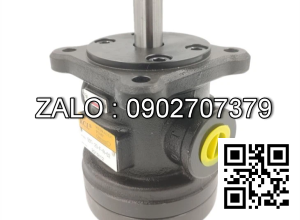 Bơm thủy lực 50T-20 -FL