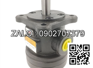 Bơm thủy lực 50T-30-FR-1