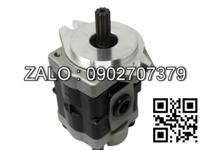 Bơm thủy lực FB1-F3R-10