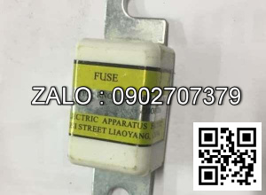 Cầu chì 200A-150V TCM