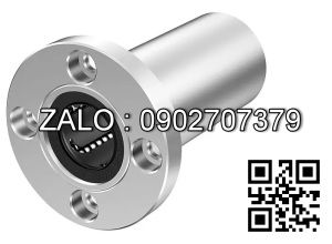 Vòng Bi Lệch Tâm RN312