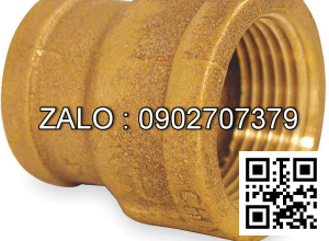 Nối thau giảm MS 27/21