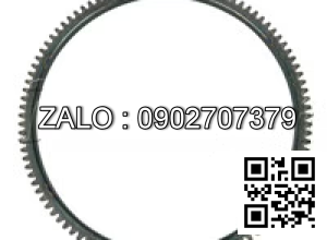Flywheel with Gear Ring 2409000510033Z
