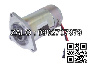 motor 36/48v-550W
