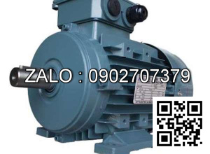 Motor chân đế 3 pha TransmaX 1.5kW (1500 RPM) 4 cực Vỏ gang