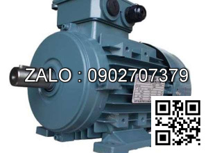 Motor chân đế 3 pha TransmaX 1.1kW (1500 RPM) 4 cực Vỏ nhôm