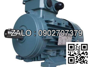 Motor chân đế 3 pha TransmaX 3kW (3000 RPM) 2 cực Vỏ nhôm