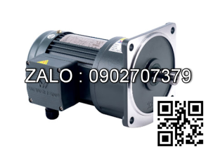 Motor giảm tốc 3 pha mặt bích TransmaX 0.75kW 1/30 32mm