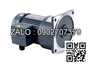 Motor giảm tốc 3 pha mặt bích TransmaX 0.75kW 1/30 28mm
