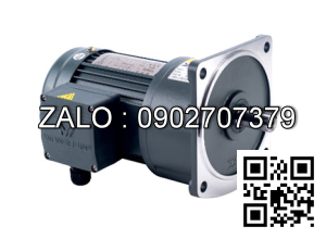 Motor giảm tốc 3 pha mặt bích TransmaX 0.75kW 1/5 28mm