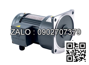 Motor giảm tốc 3 pha mặt bích TransmaX 200W 1/120 28mm