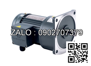 Motor giảm tốc 3 pha mặt bích TransmaX 200W 1/40 22mm