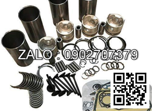 Bộ xéc măng Kubota Genuine Parts V2203