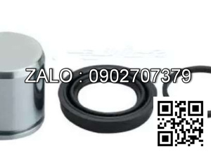 Bộ pít tông heo thắng xe nâng