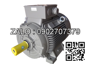 Động cơ điện Siemens 1LA7106-4AA61 