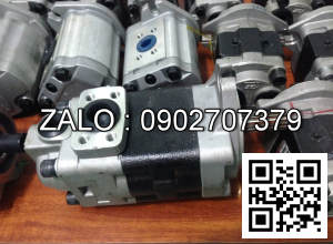 Bơm thủy lực piston Yuken DSG-03-2D3-A100-N-50