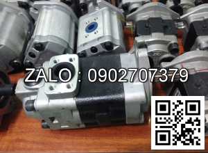 Bơm thủy lực piston Yuken DSG-03-2D8-D24-N-50