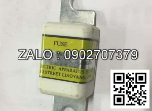 Cầu chì 200A 150V
