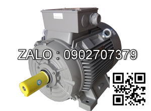 Động cơ điện Siemens 1LG4207-4AA66 