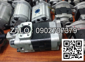 Bơm thủy lực piston Yuken DSG-03-2D8A-D24