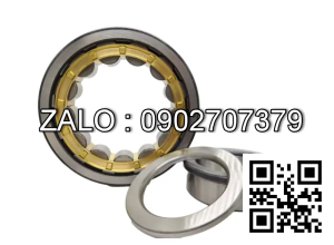 Vòng bi NUP208E 40x80x18