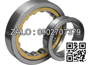 Vòng bi NJ309E 45x100x25