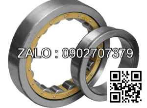 Vòng bi NJ224M 120x215x40